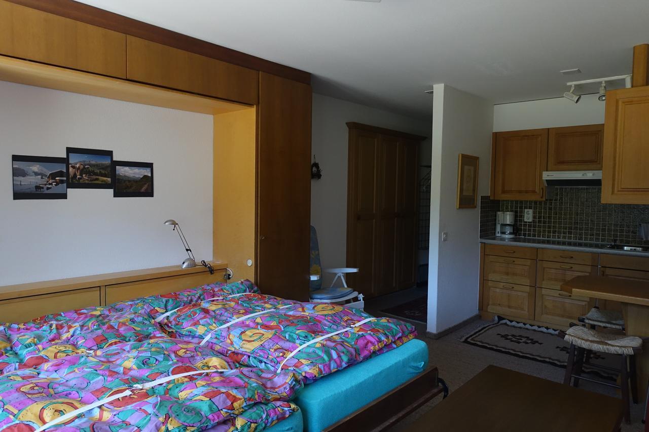 Appartement Casa La Foppa 28 à Sedrun Extérieur photo